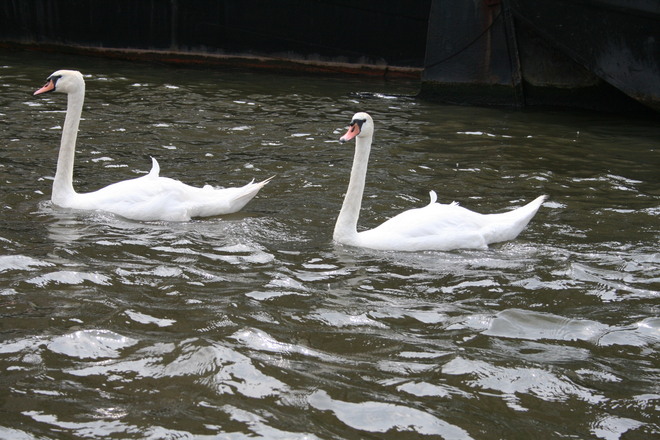 תוכנית הליווי קפיצת הדרך